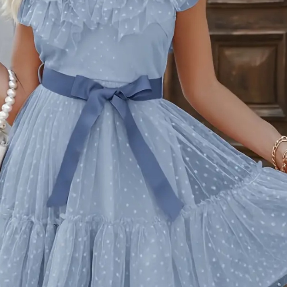 Simplee Ruffle Trim Belted Dobby Mesh Overlay Dress